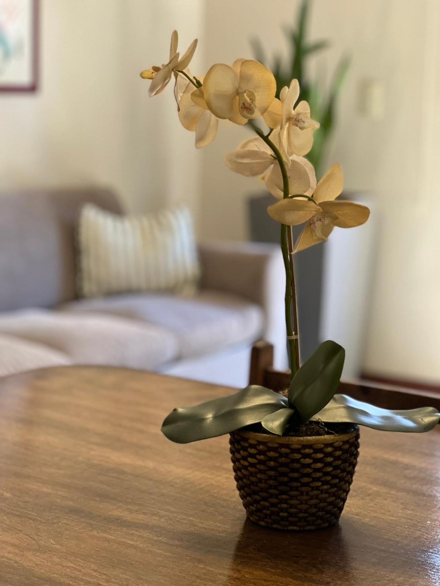 Flora