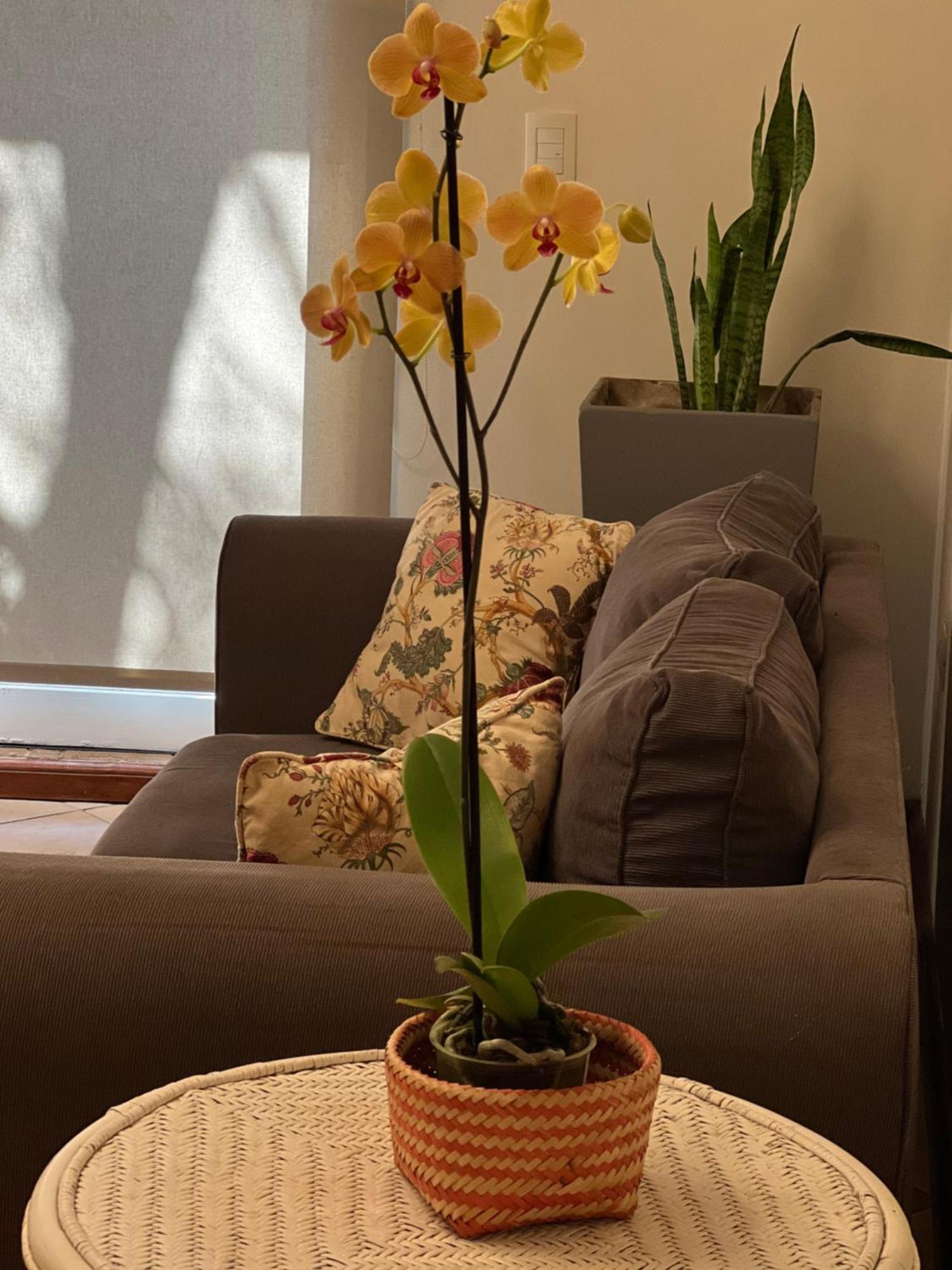 Apartamento Flora Puerto Iguazú