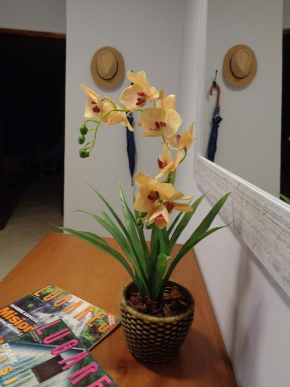 Apartamento Flora